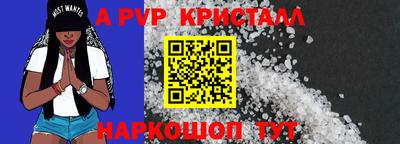 гашик Малгобек